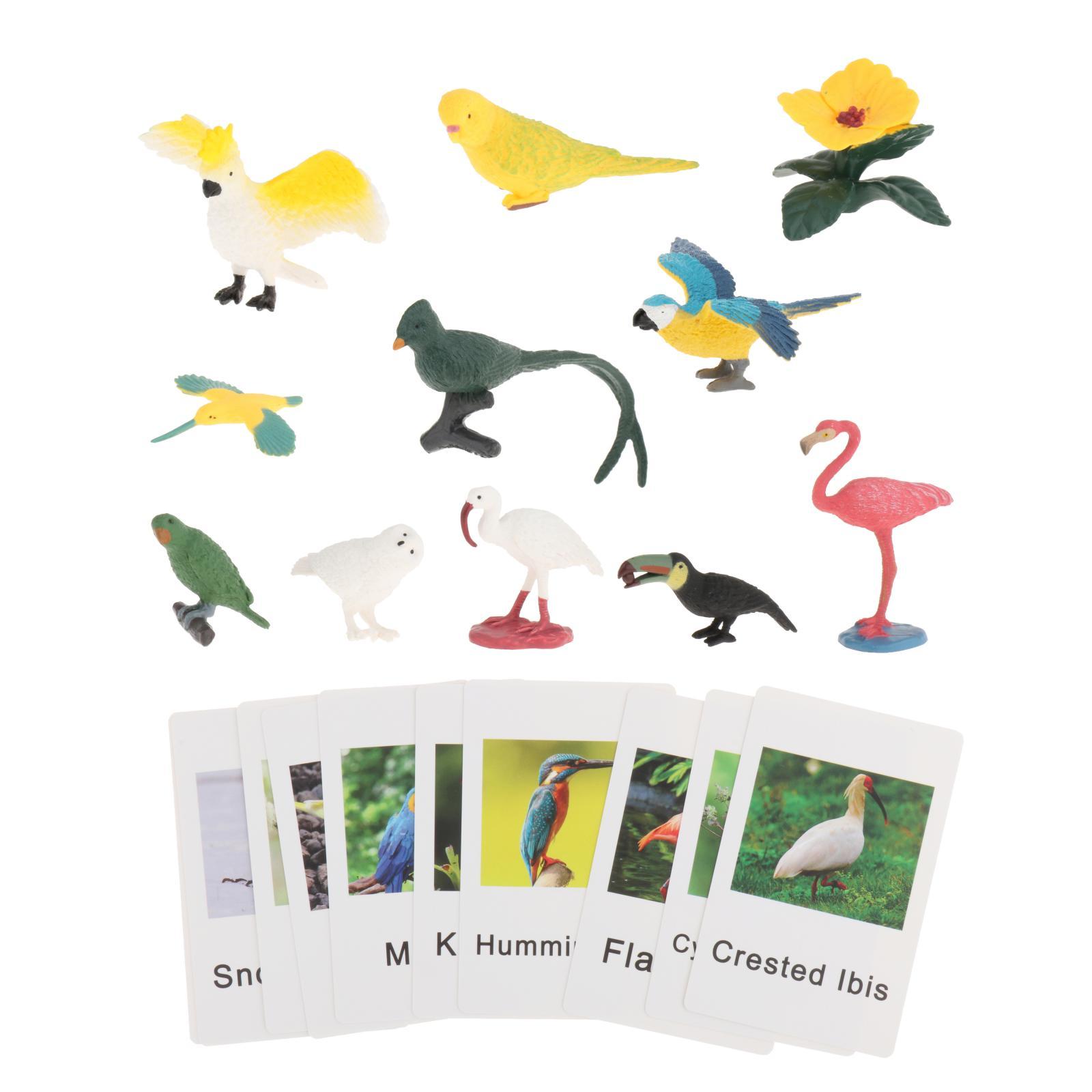 Montessori Animal Figures with - огляд і ціна Science Nature