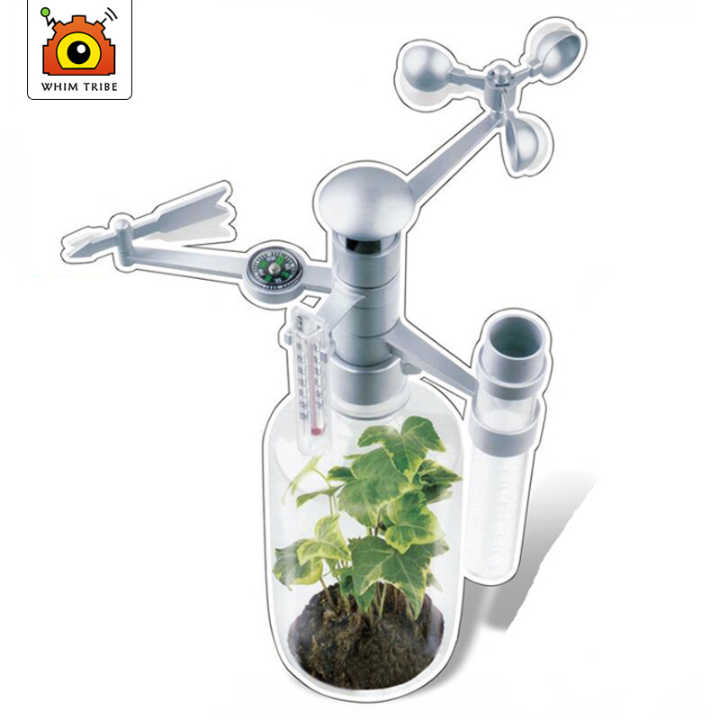 DIY ToySet Intellectual  Scien - огляд і ціна Science Nature