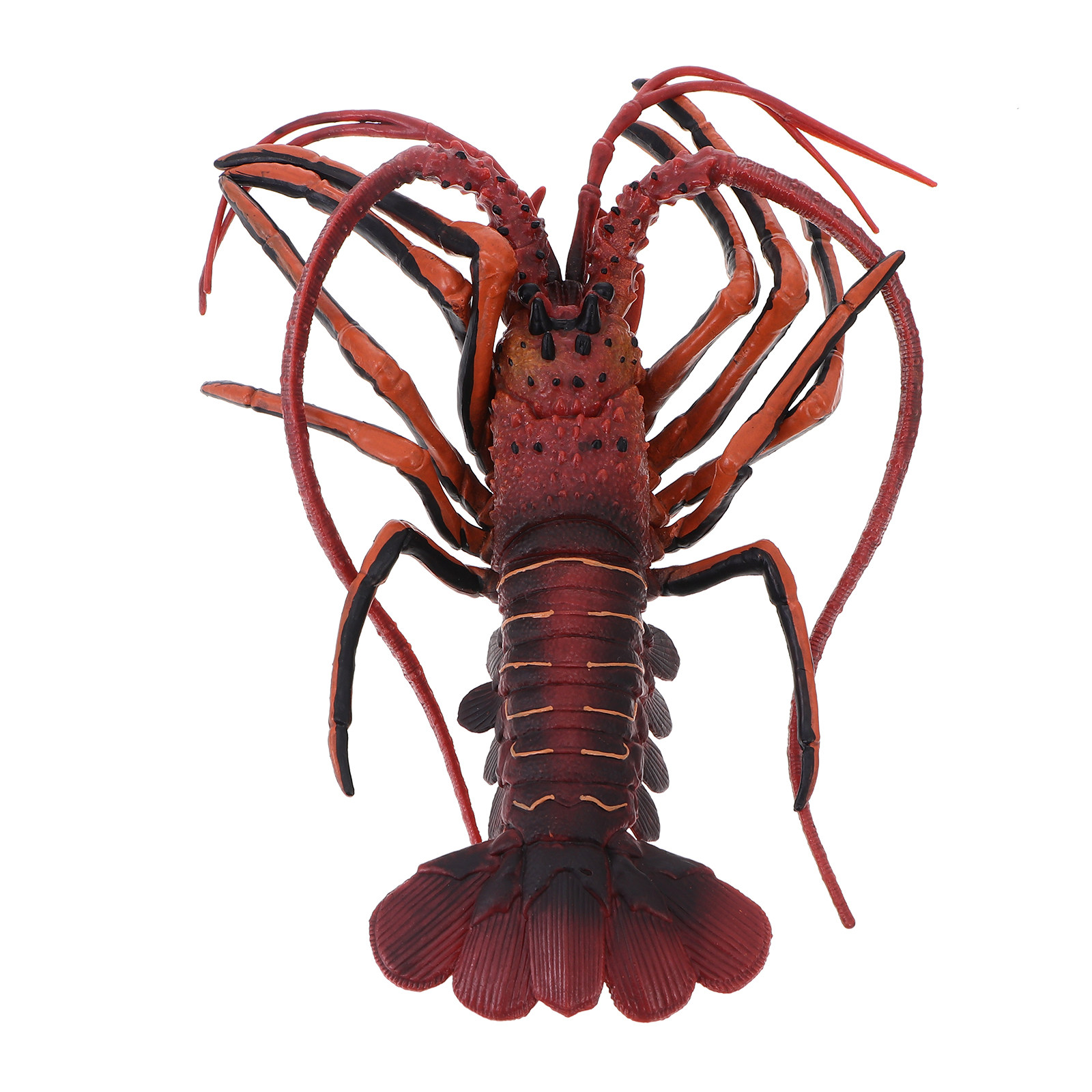 1Pcs Simulation Lobster Realis - огляд і ціна Science Toy
