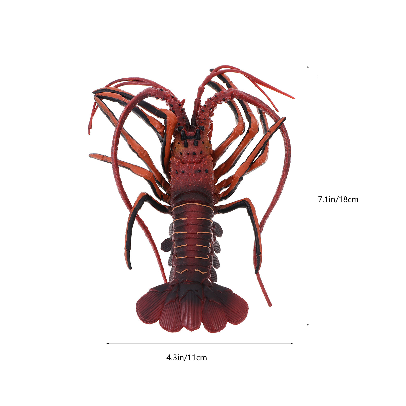 1Pcs Simulation Lobster Realis - огляд і ціна Science Toy