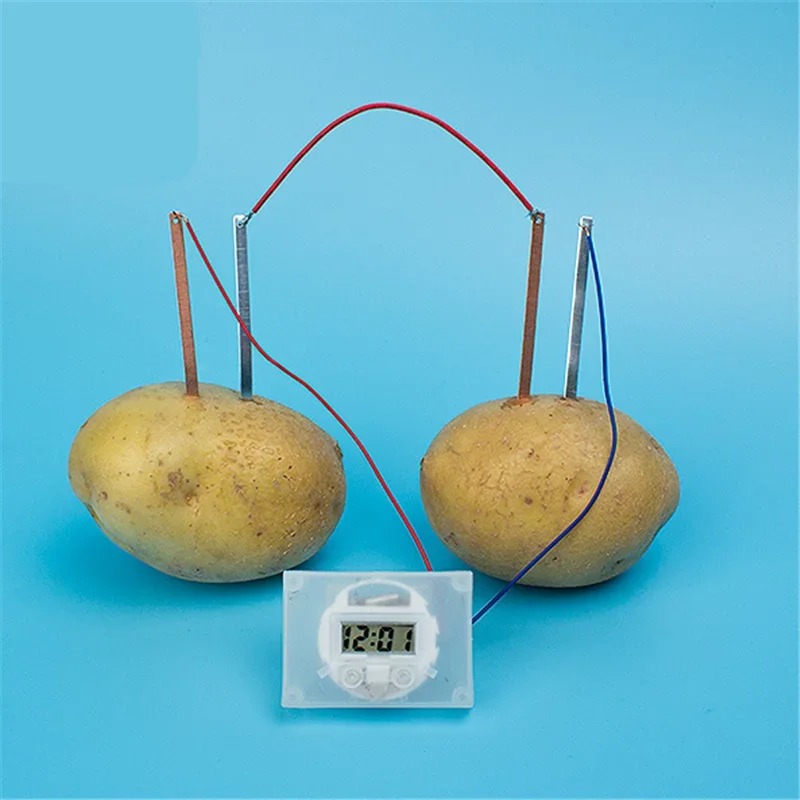 New Kid Montessori Toy Fruit P - огляд і ціна Science Nature