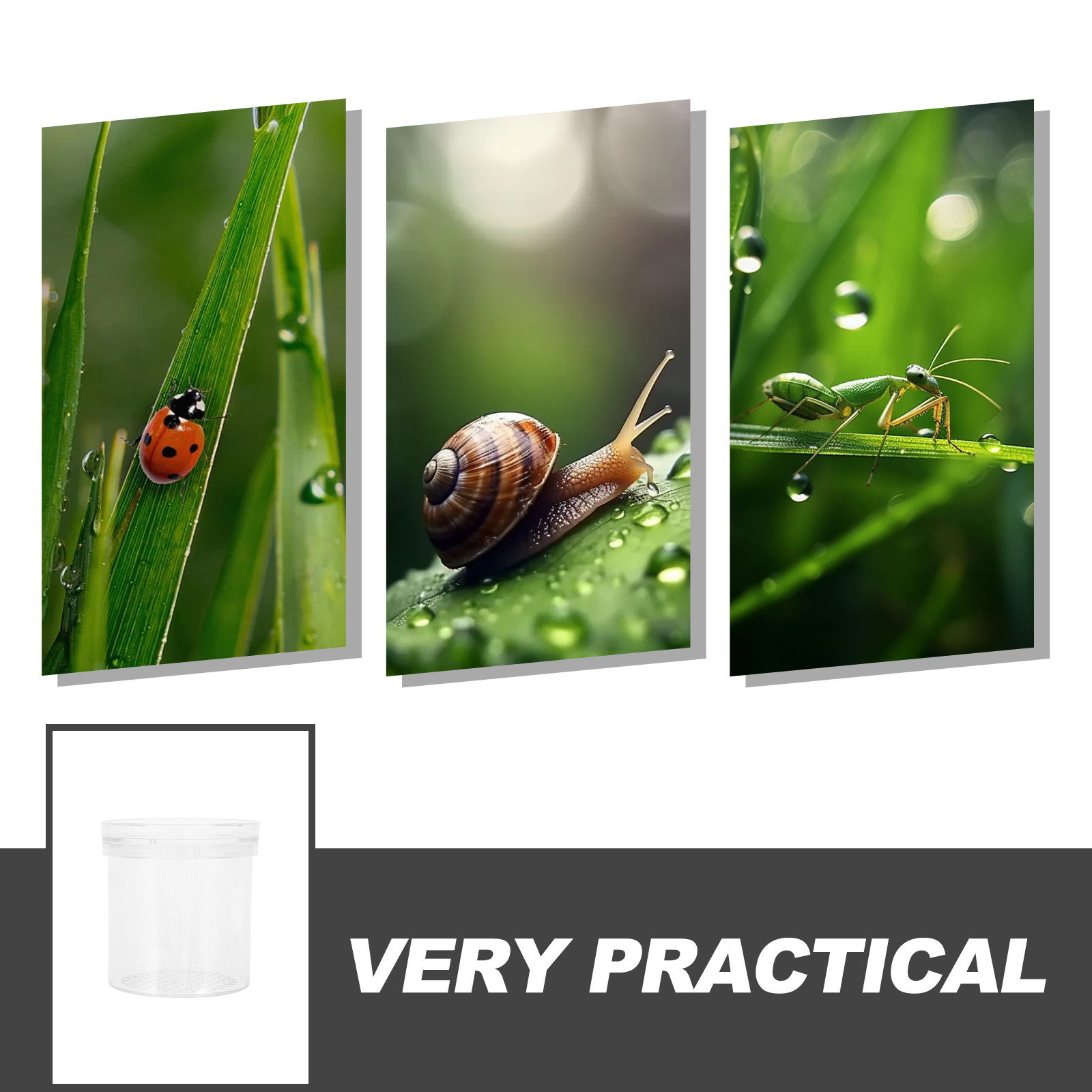 3X Magnifying Insect Observati - огляд і ціна Science Toy