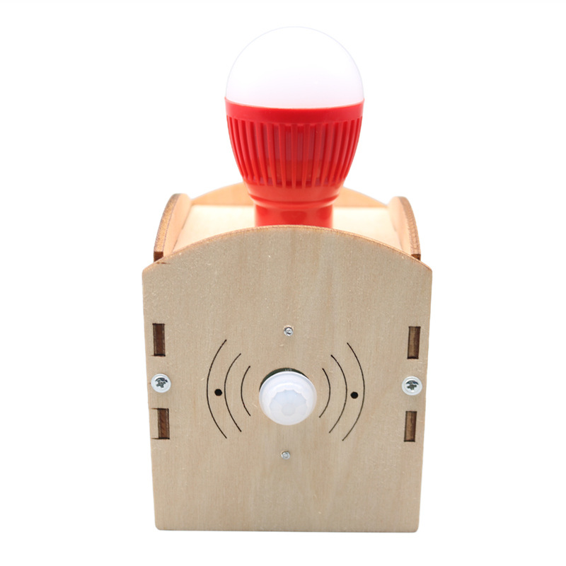DIY Human-Sensing Night Light  - огляд і ціна Science Nature