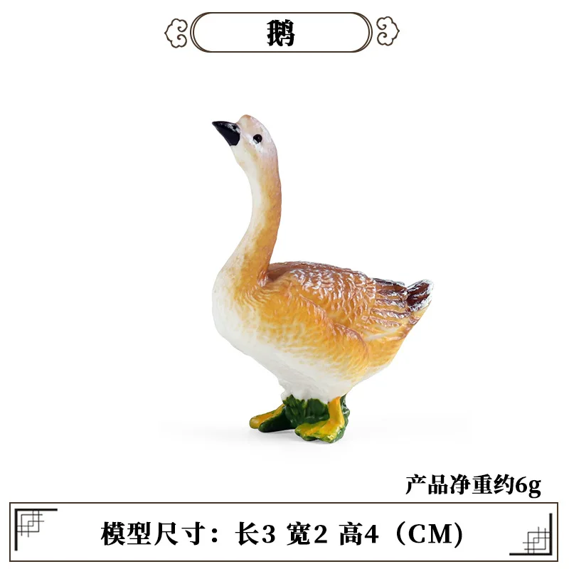 Education Teaching Tool Poultr - огляд і ціна Science Toy