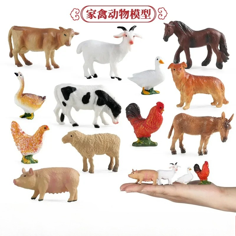 Education Teaching Tool Poultr - огляд і ціна Science Toy